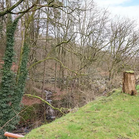 Paradise * Harrogate