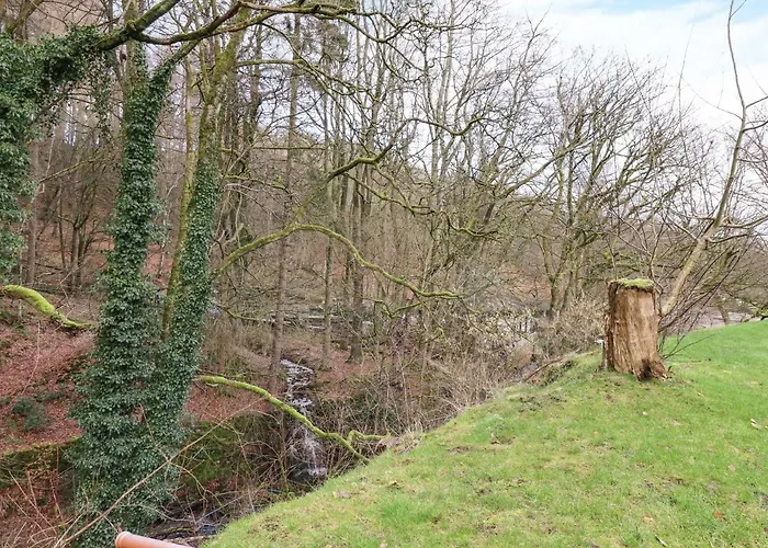 Paradise * Harrogate